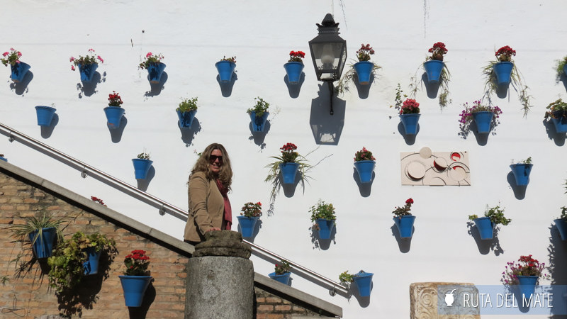 Flor in one of Cordoba's patios, where the blue pots stand out.