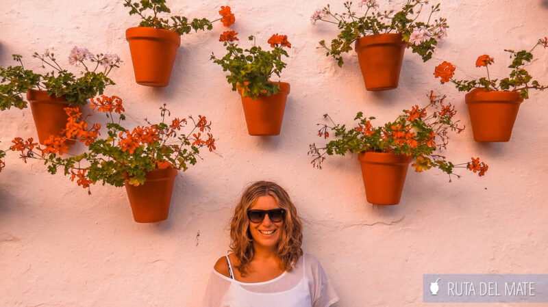Flor junto a una fachada de blanca , de una casa en Marbella adornada con macetas y flores