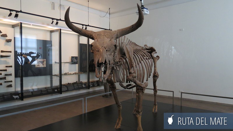 Exhibiciones en el Museo Nacional de Dinamarca