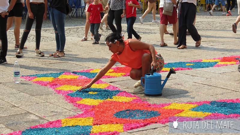 Camino de flores hecho para conmemorar la Asunción de la Virgen en Guimaraes