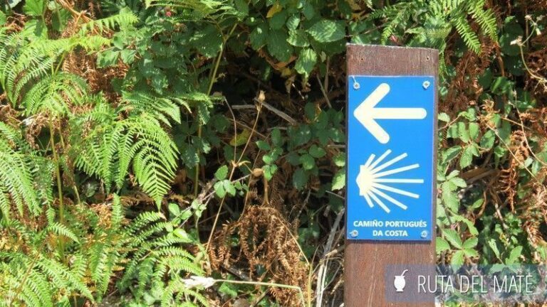 Camino Santiago Portugues Costa