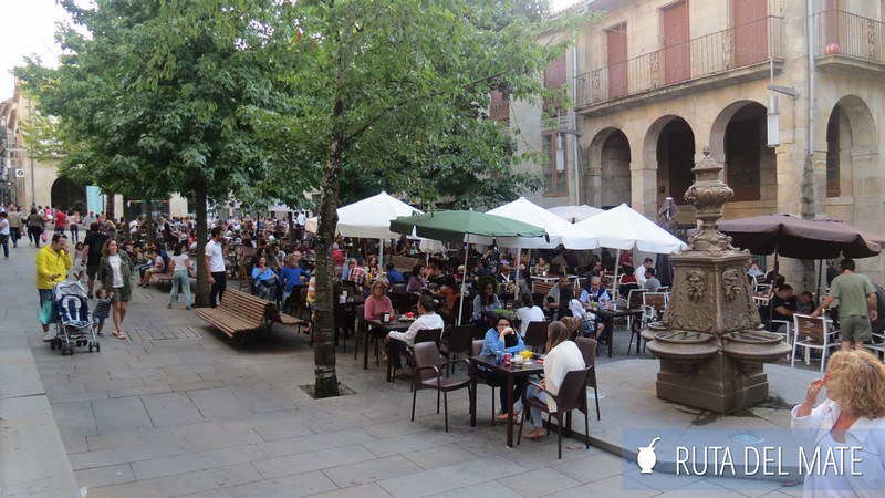 La animada Plaza de la Verdura con mucha gente en la terraza de los bares comiendo y bebiendo