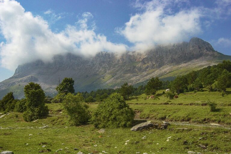 Pirineos