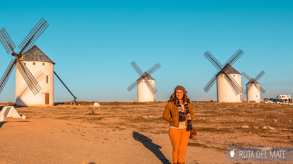 Flor by the windmills of Campo de Criptana