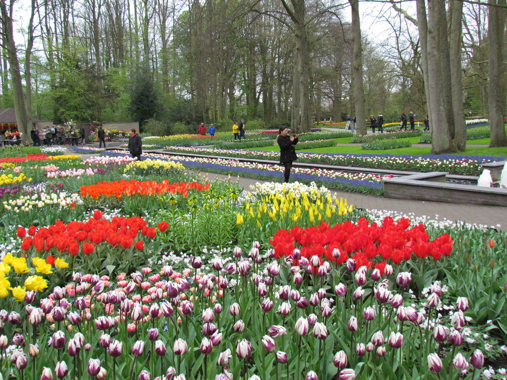 Keukenhof