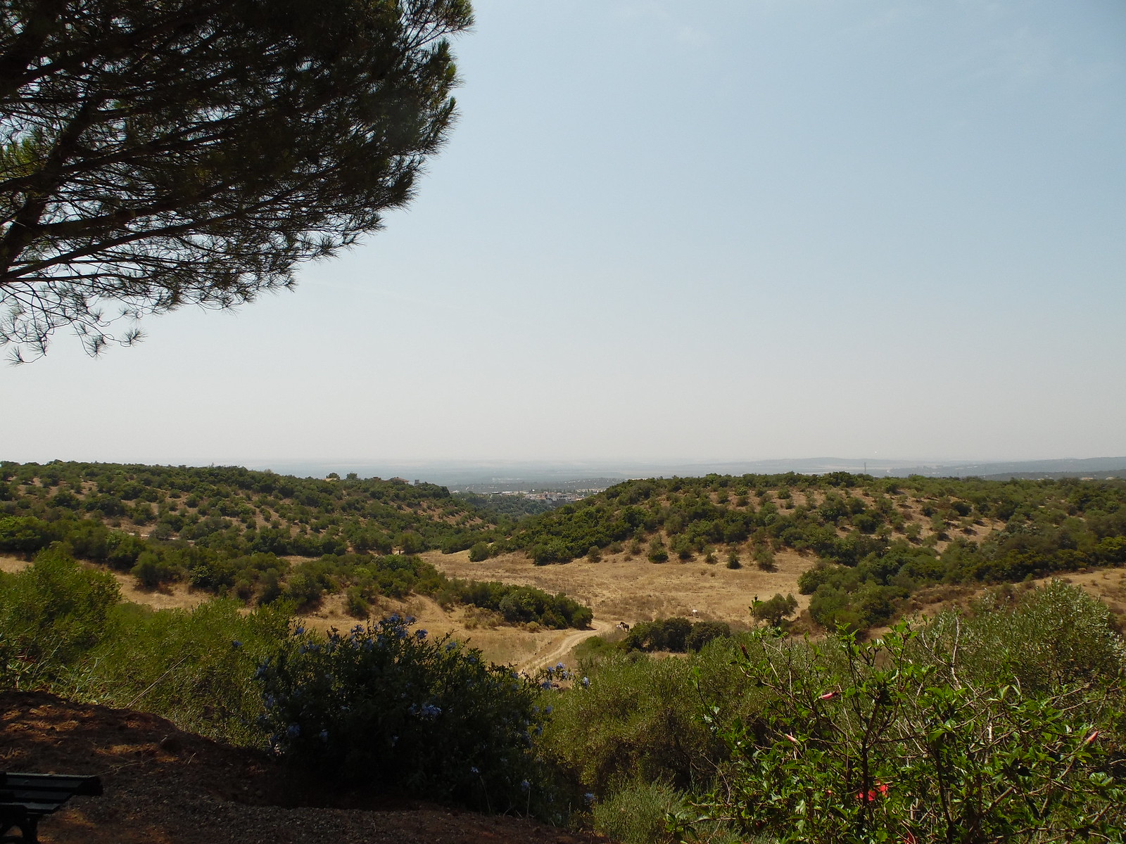 Parque Natural Sierra de Hornachuelos, Hornachuelos, Córdoba