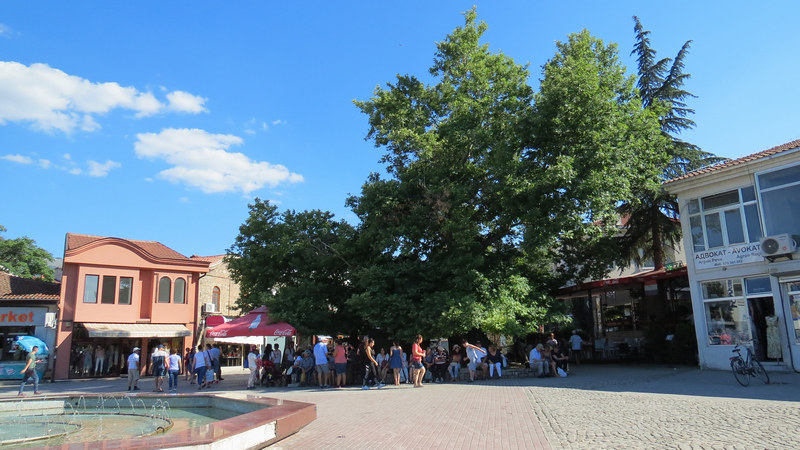 Chinar Tree, el arbol milenario, una de las atracciones que ver en Ohrid