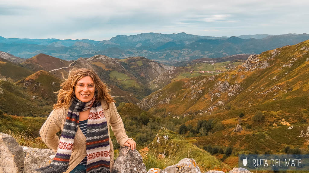 Flor en el Mirador de la Reina, con vistas a las montañas de los Picos de Europa