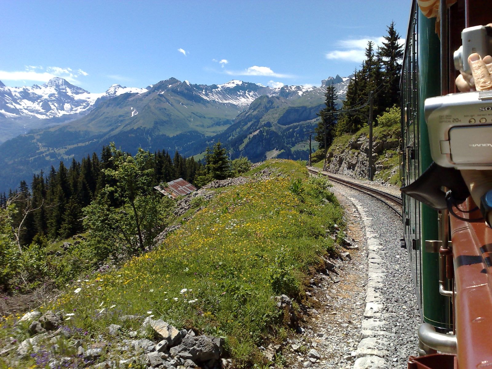 Schynige Platte