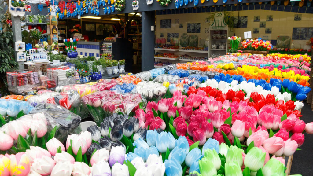 the stalls of Amsterdam's colorful Flower Market