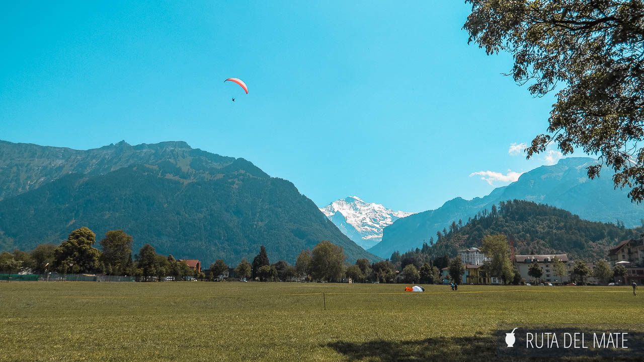Volar en Parapente y hacer un picnic en el parque Hohematte en Interlaken
