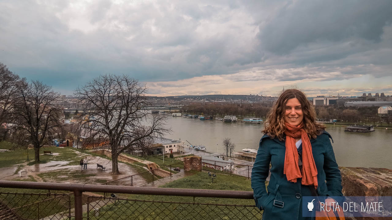 Flor y de fondo el río Danubio en Belgrado