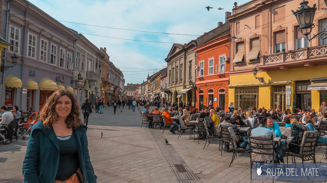 Flor en la calle peatonal de Novi Sad y de fondo las mesas en las terrazas con gente hablando y tomado algo